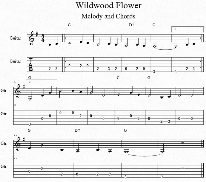 wildwoodflowermelody